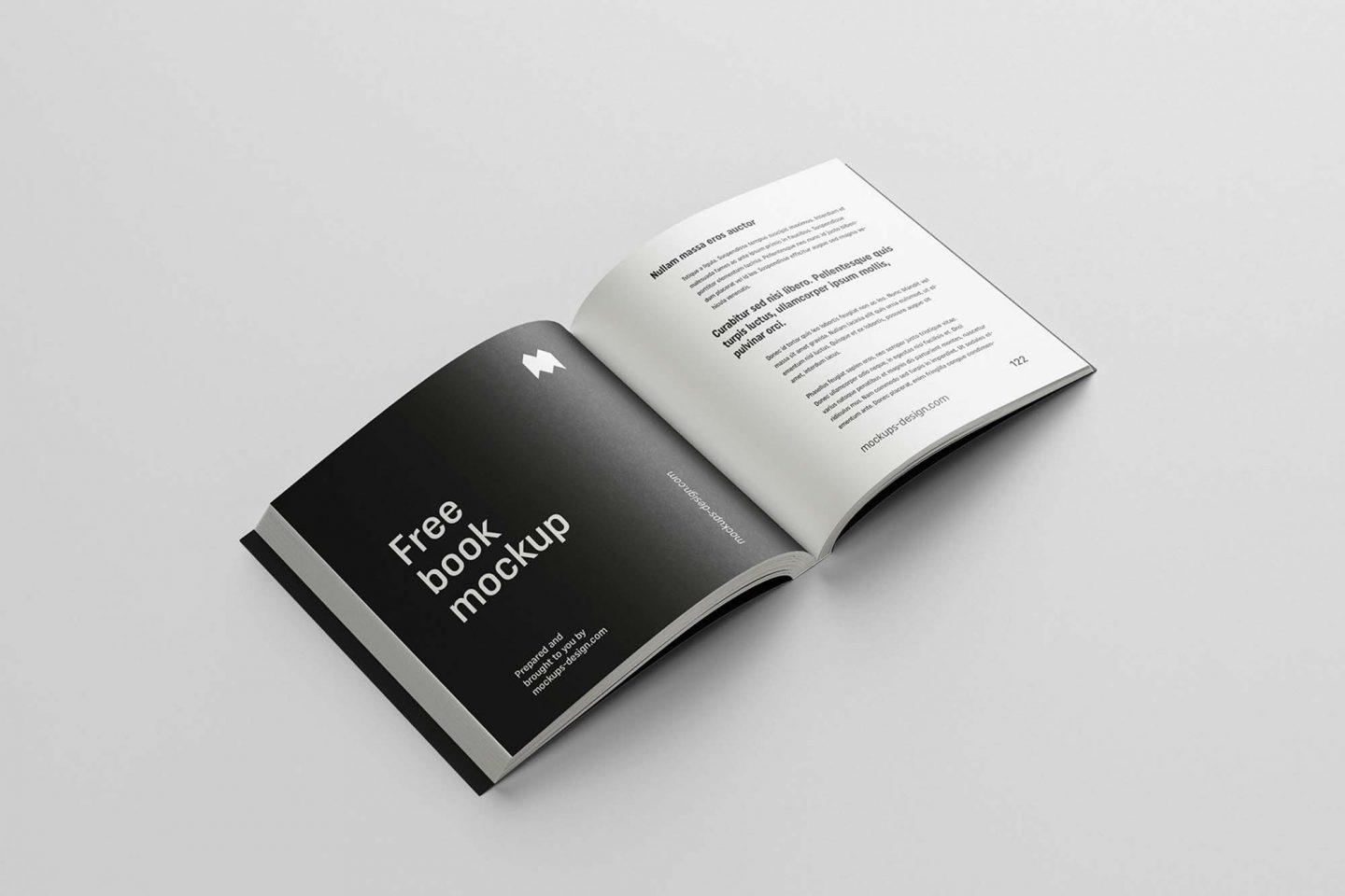Square book mockup