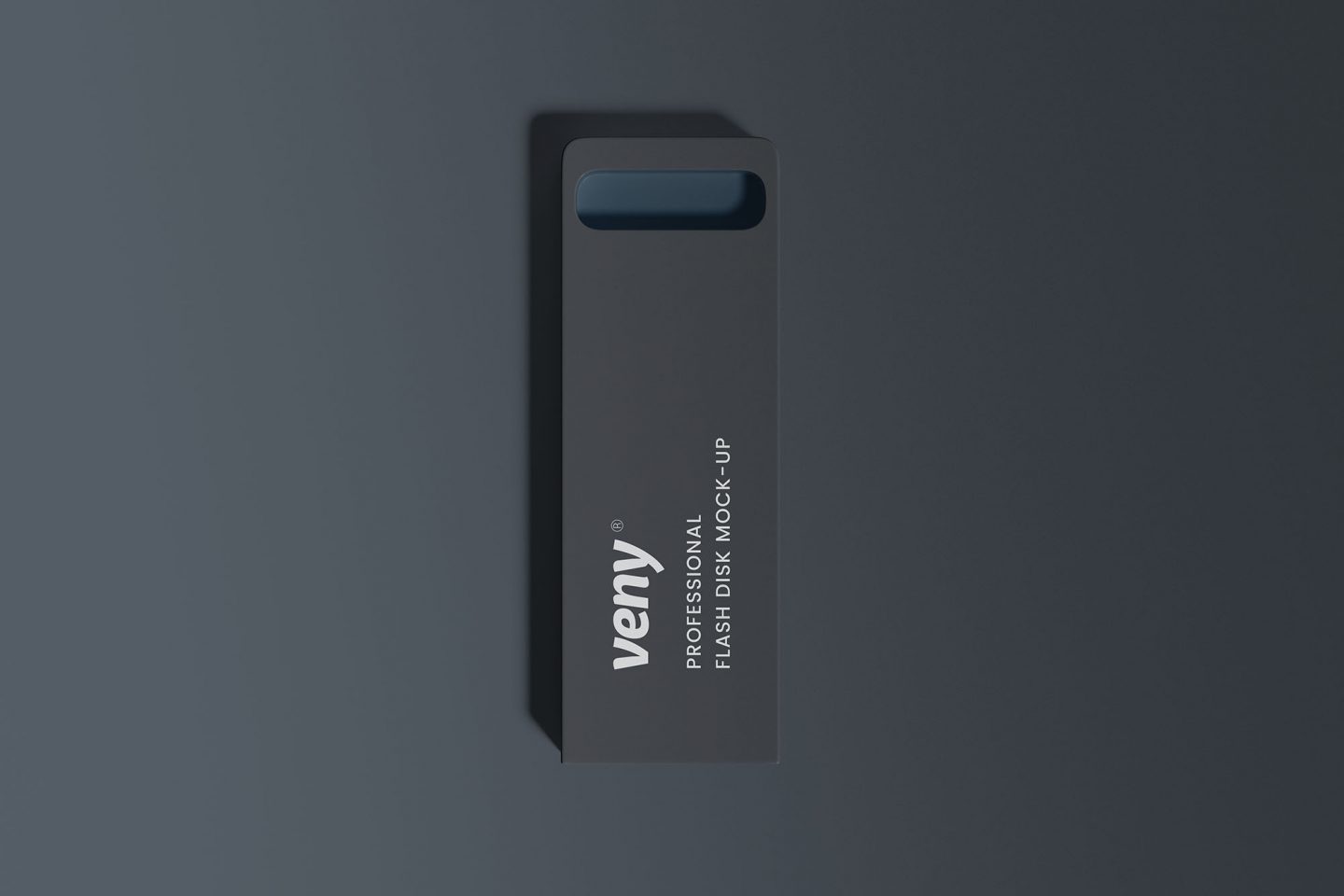 Flash Disk Mockup