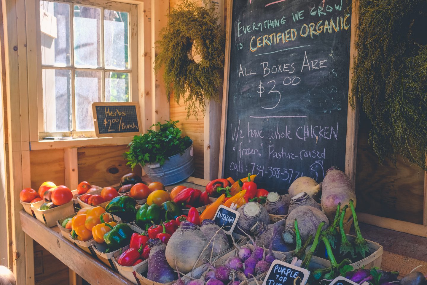 How to live a low waste, eco-friendlier lifestyle – and how you can do it
