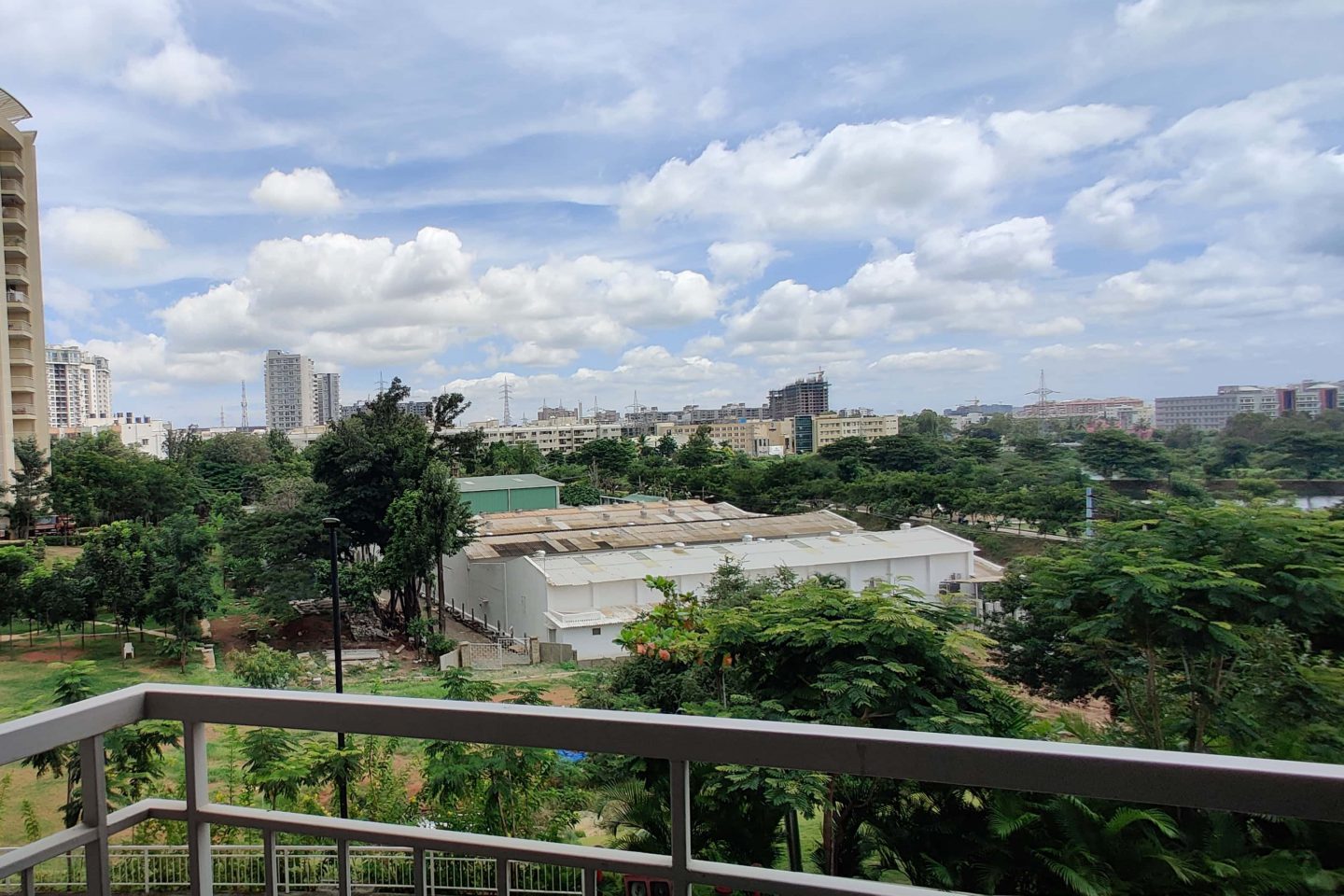 When cities were Nature’s haven: a tale from Bangalore