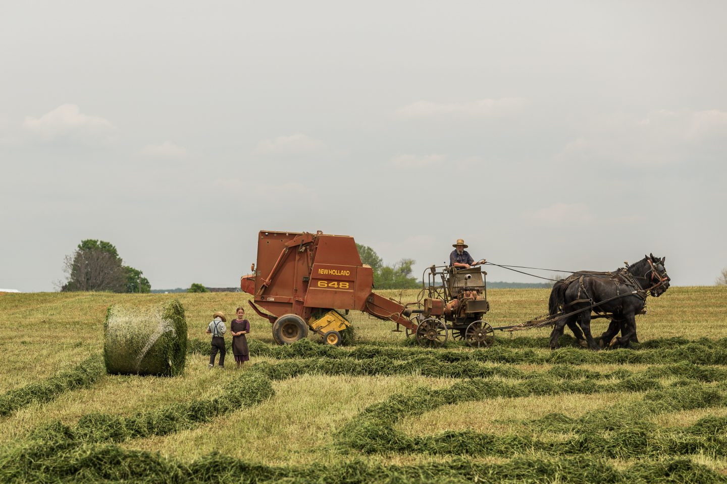 Organic farming matters – just not in the way you think