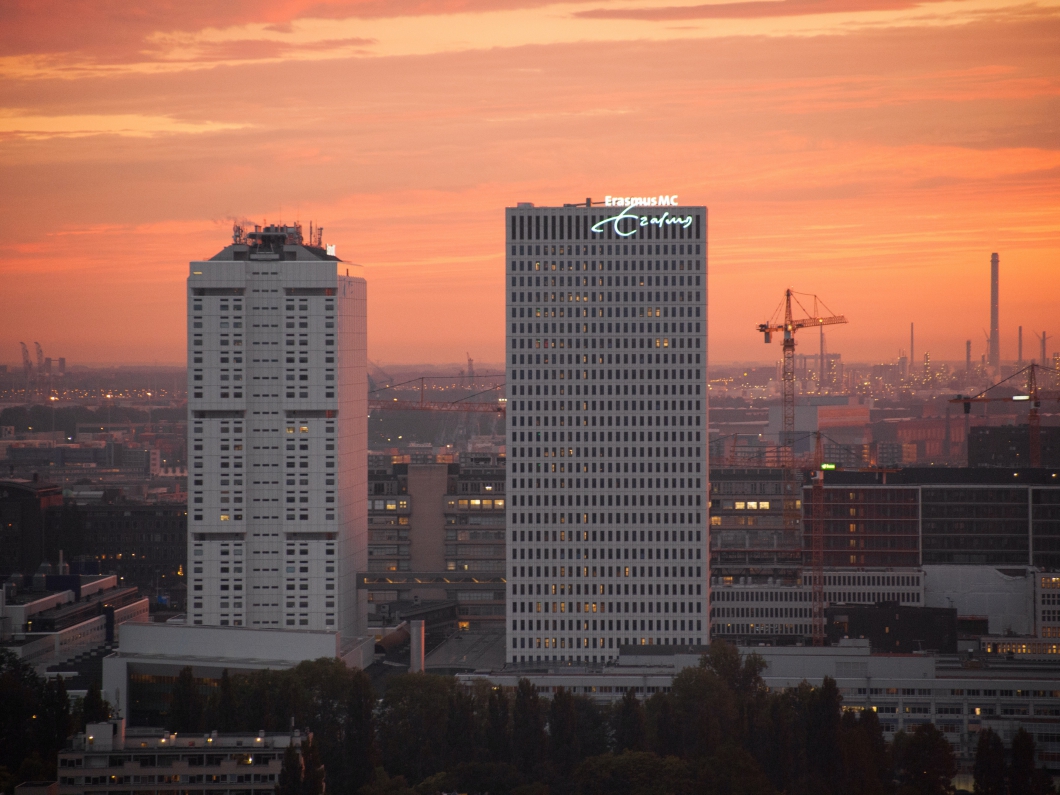 rik-van-der-kroon-WaCGgP4k8Xg-unsplash