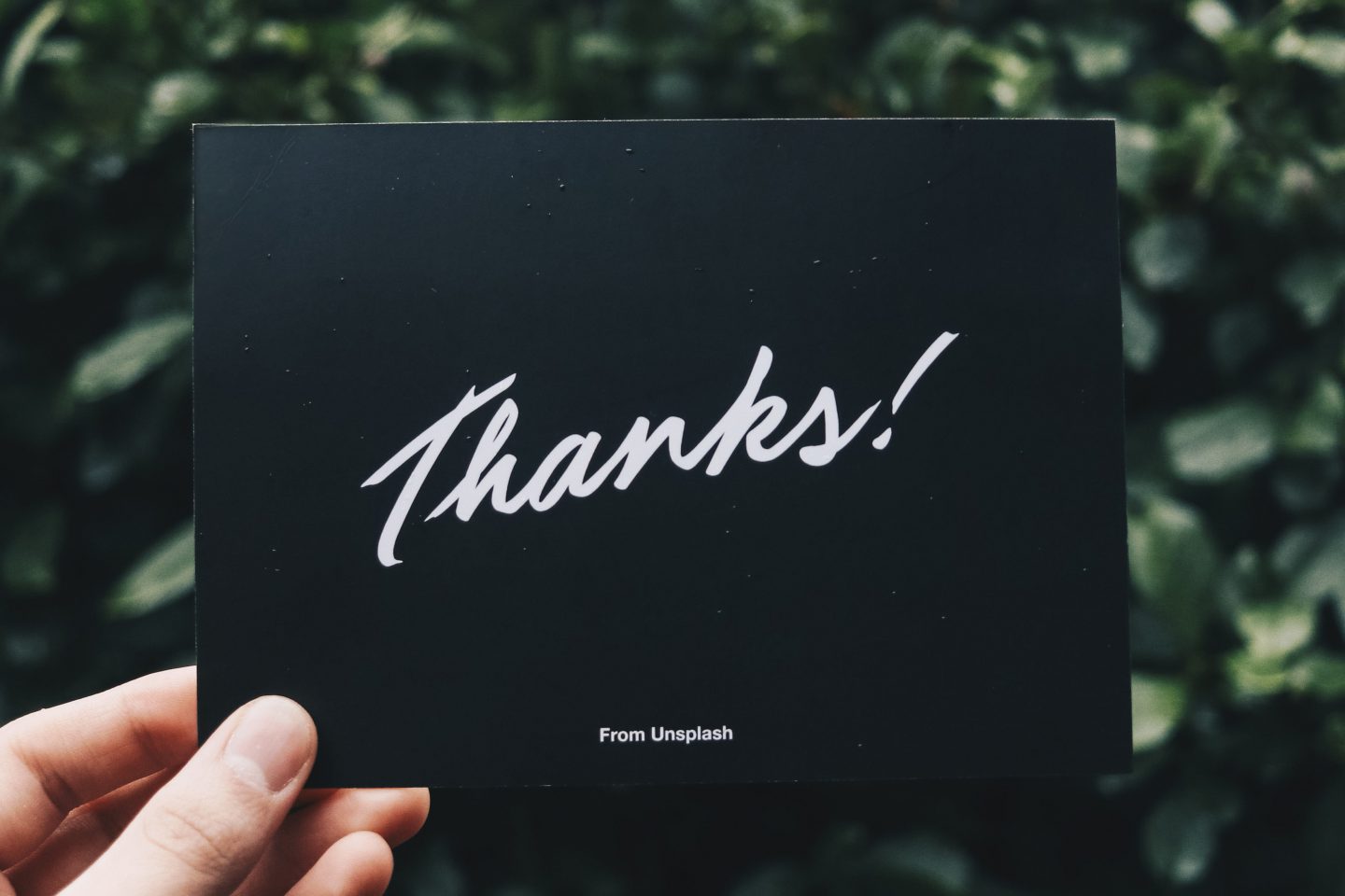 Thanks from Unsplash